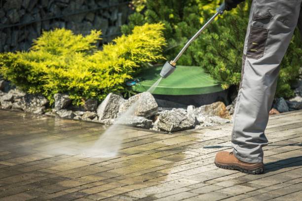 Animal Enclosure Cleaning in New Rockford, ND