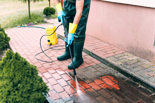 Best Solar Panel Cleaning  in New Rockford, ND